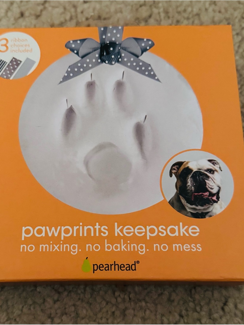 Pawprints Keepsake Kit NWT